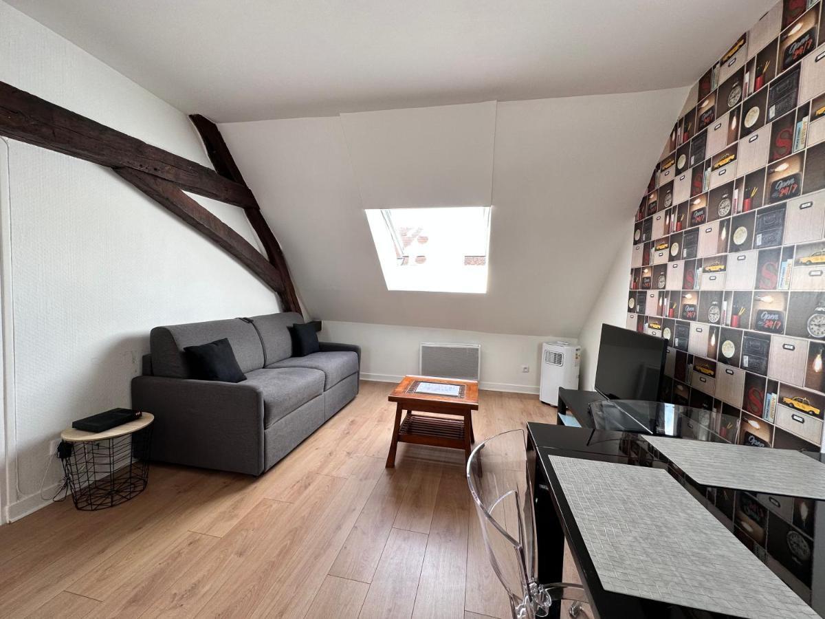 Appartement Au Centre Ville De Sens Exterior foto